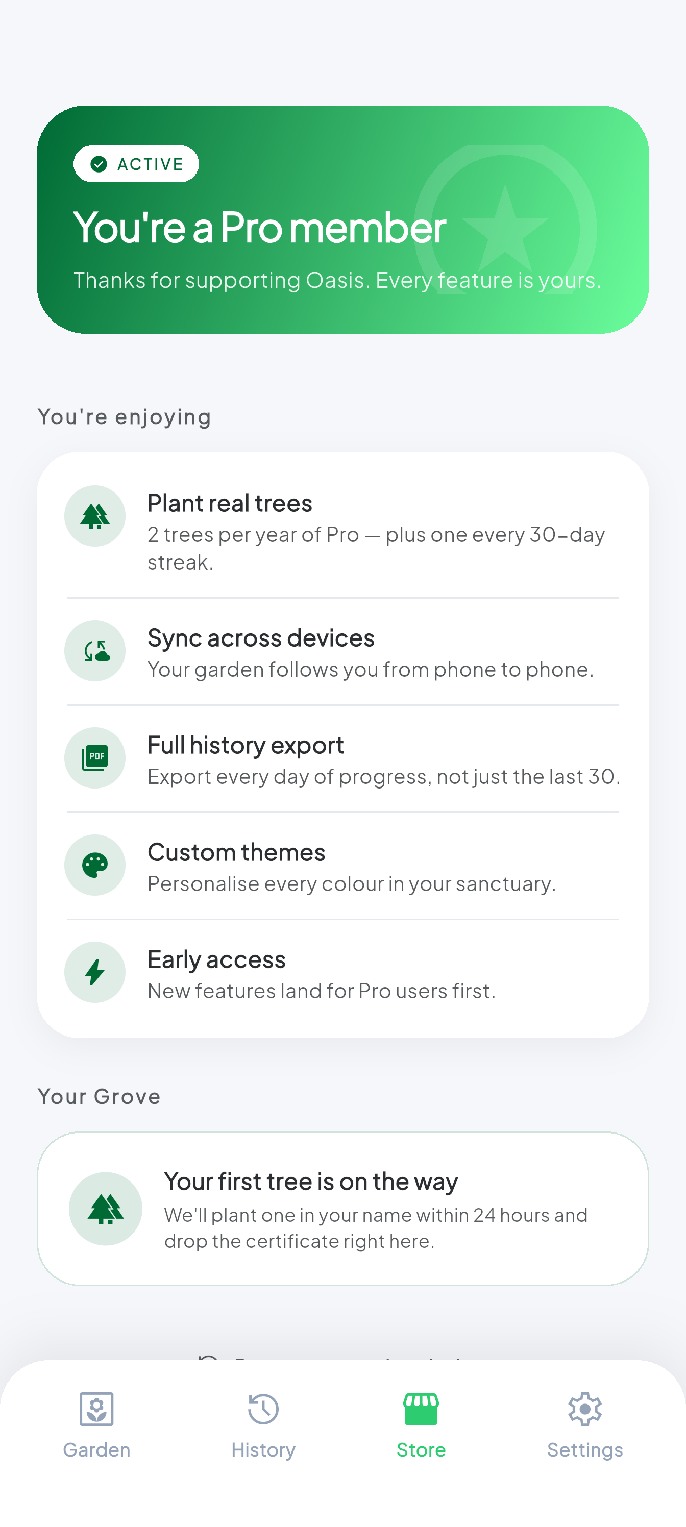 Pro upgrade screen with monthly and yearly plans